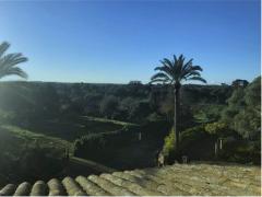 Retreat Mallorca, Stressbewältigung, Stresscoaching, Achtsamkeit, Gesundheitscoaching, Yoga, Meditation, körperorientierte und achtsamkeitsbasierte Verfahren, Entspannungsverfahren, integrative Psychotherapie Retreat Mallorca, Stressbewältigung, Stresscoaching, Achtsamkeit, Gesundheitscoaching, Yoga, Meditation, körperorientierte und achtsamkeitsbasierte Verfahren, Entspannungsverfahren, integrative Psychotherapie